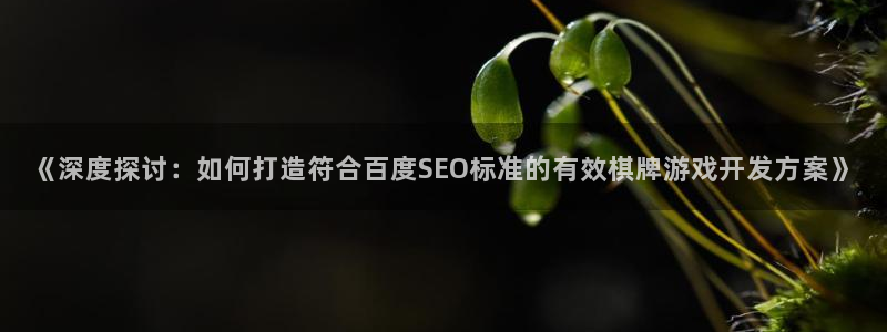 沐鸣2官网网址：《深度探讨：如何打造符合百度SEO标准的有效棋牌游戏开发方案》