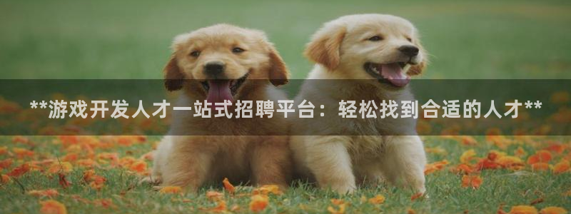 沐鸣娱乐2官网网址是多少：**游戏开发人才一站式招聘平台：轻松找到合适的人才**