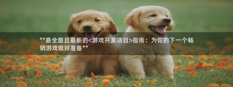 沐鸣2注册连接：**最全面且最新的<游戏开发项目>指南：为你的下一个畅
销游戏做好准备**