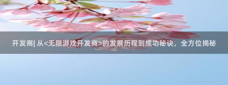 沐鸣2注册：开发商| 从<无限游戏开发商>的发展历程到成功秘诀，全方位揭秘