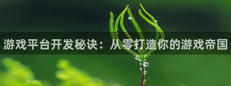 沐鸣2平台是杏彩的吗：游戏平台开发秘诀：从零打造你的游戏帝国