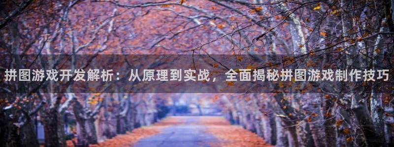 沐鸣2代理酋27337：拼图游戏开发解析：从原理到实战，全面揭秘拼图游戏制作技巧